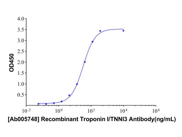 Recombinant Troponin I/TNNI3 Antibody,Recombinant Troponin I/TNNI3 Antibody