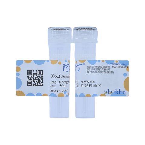 COX2 Antibody,COX2 Antibody