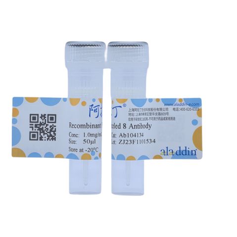 Recombinant Frizzled 8 Antibody,Recombinant Frizzled 8 Antibody