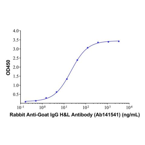 Rabbit Anti-Goat IgG H&L Antibody,Rabbit Anti-Goat IgG H&L Antibody