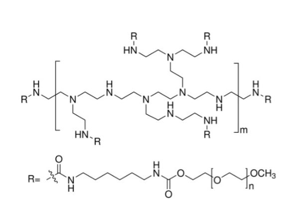 支化PEI-g-PEG,Branched PEI-g-PEG