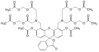 Calcein AM /PI試劑盒,Calcein AM /PI Kit