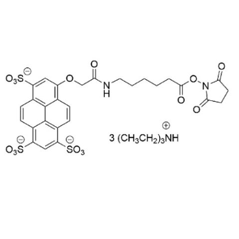 AF 405 琥珀酰亚胺酯,AF 405 Succinimidyl Ester