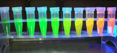 氨基酸鍵合熒光量子點(diǎn),Fluorescent quantum dots