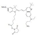 荧光红633 NHS,Fluorescent red 633 NHS