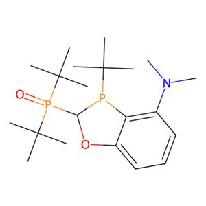 aladdin 阿拉丁 R282159 二叔丁基((2S,3S)-3-(叔丁基)-4-(二甲基氨基)-2,3-二氢苯并[D][1,3]氧杂磷杂环己烷-2-基)氧化膦 1788085-47-1 97%