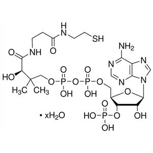 辅酶A水合物(游离酸),Coenzyme A hydrate (free acid)
