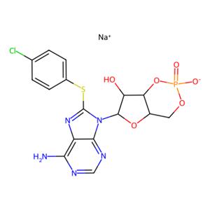 8-(4-氯苯硫基）-鸟苷 3′,5′-环单磷酸 钠盐,8-(4-Chlorophenylthio)adenosine 3′,5′-cyclic monophosphate sodium salt