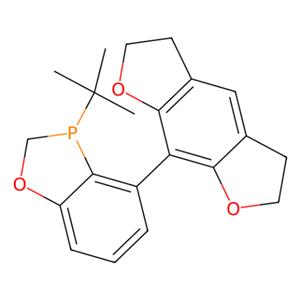 aladdin 阿拉丁 R282154 （R）-3-（叔丁基）-4-（2,3,5,6-四氢苯并[1,2-b：5,4-b'']二呋喃-8-基）-2,3-二氢苯并[d] [1,3]氧杂磷杂戊环 1835717-07-1 97%,>99% ee