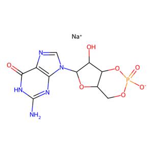 aladdin 阿拉丁 G276529 鸟苷3',5'-环一磷酸钠盐（cGMP） 40732-48-7 ≥99%