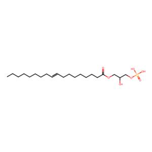 aladdin 阿拉丁 O353308 1-油酰基溶血磷脂酸 65528-98-5 ≥95%，10mg/ml in ethanol