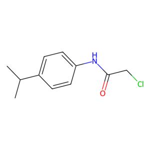 aladdin 阿拉丁 C167491 2-氯-N-(4-异丙基苯基)乙酰胺 1527-61-3 95%