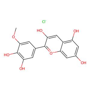 矮牵牛氯化物,Petunidin Chloride