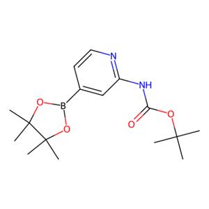 aladdin 阿拉丁 T171991 2-(Boc-氨基)吡啶-4-硼酸频哪醇酯 1095708-32-9 97%