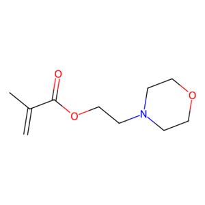 aladdin 阿拉丁 M404671 甲基丙烯酸2-吗啉基乙酯 (含稳定剂MEHQ) 2997-88-8 98%