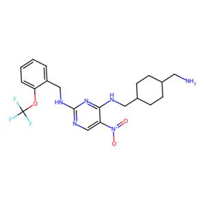 aladdin 阿拉丁 P413528 PKC-θ抑制剂 736048-65-0 98%