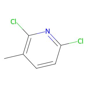 aladdin 阿拉丁 D139037 2，6-二氯-3-甲基吡啶 58584-94-4 ≥98%