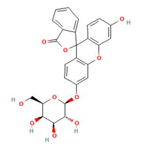 荧光素-β-D-吡喃半乳糖苷,Fluorescein mono-?-D-galactopyranoside