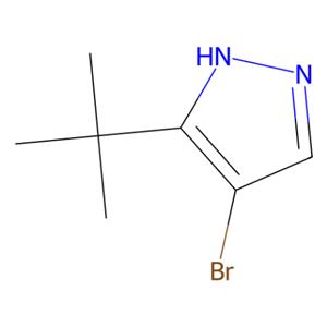 4-溴-3-叔丁基-1H-吡唑,4-Bromo-3-tert-butyl-1H-pyrazole