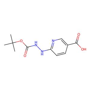 6-[2-(叔丁氧羰基)肼基]烟酸,6-(2-(tert-Butoxycarbonyl)hydrazinyl)nicotinic acid