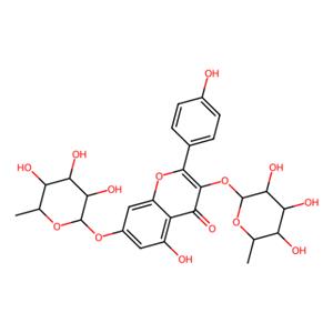 aladdin 阿拉丁 K170556 山奈苷 482-38-2 97% (NMR)