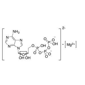 aladdin 阿拉丁 A463997 腺苷 5'-三磷酸镁盐 74804-12-9 ≥95%,细菌性