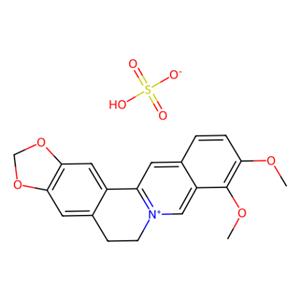 aladdin 阿拉丁 B304222 硫酸小檗碱水合物 633-66-9 ≥98%(HPLC)
