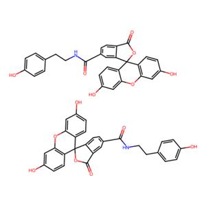 aladdin 阿拉丁 F288742 荧光素酪酰胺 210236-90-1 ≥95%(HPLC)