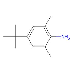 aladdin 阿拉丁 T193350 4-叔丁基-2,6-二甲基-苯胺 42014-60-8 98%