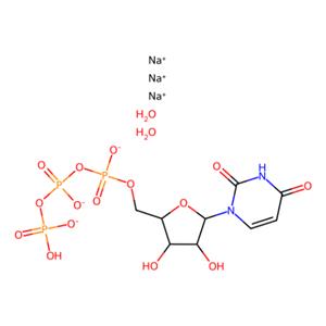 aladdin 阿拉丁 U333483 尿苷-5'-三磷酸三钠二水合物 116295-90-0 ≥98%