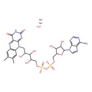 aladdin 阿拉丁 F100614 黄素腺嘌呤二核苷酸二钠盐水合物 1891059-93-0 95%