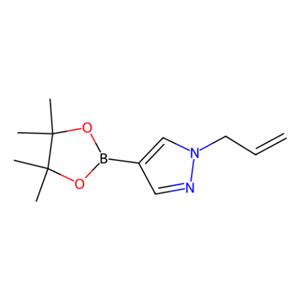 aladdin 阿拉丁 A586078 1-烯丙基-4-(4,4,5,5-四甲基-1,3,2-二氧硼杂环戊烷-2-基)-1H-吡唑 1000801-78-4 97%