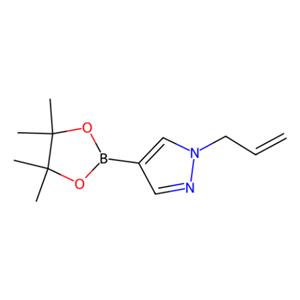 1-烯丙基-4-(4,4,5,5-四甲基-1,3,2-二氧硼杂环戊烷-2-基)-1H-吡唑,1-Allyl-4-(4,4,5,5-tetramethyl-1,3,2-dioxaborolan-2-yl)-1H-pyrazole