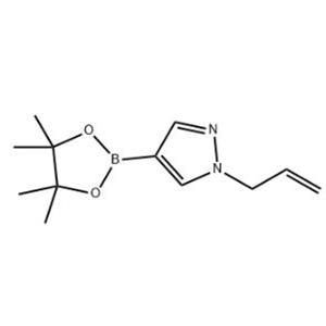 1-烯丙基-4-(4,4,5,5-四甲基-1,3,2-二氧硼杂环戊烷-2-基)-1H-吡唑,1-Allyl-4-(4,4,5,5-tetramethyl-1,3,2-dioxaborolan-2-yl)-1H-pyrazole