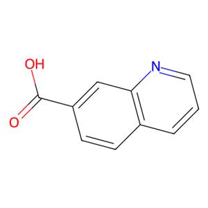 aladdin 阿拉丁 Q179305 7-喹啉羧酸 1078-30-4 98%