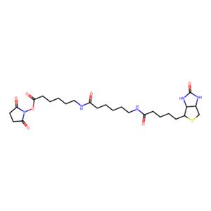 N-[6-(生物素氨基)己酰基]-6-氨基己酸N-琥珀酰亚胺酯,Biotinamidohexanoyl-6-aminohexanoic acid N-hydroxysuccinimide ester
