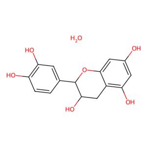 (+)-儿茶素水合物,(+)-Catechin hydrate