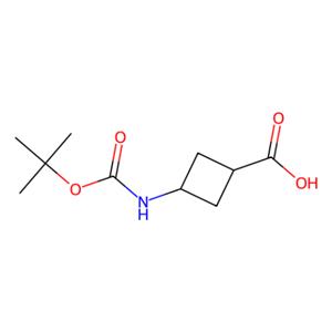 aladdin 阿拉丁 C171623 顺式-3-BOC-氨基环丁烷甲酸 1008773-79-2 97%