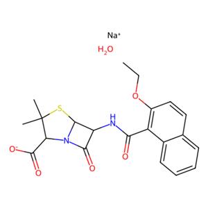 aladdin 阿拉丁 N114318 萘夫西林钠盐一水合物 7177-50-6 分析标准品