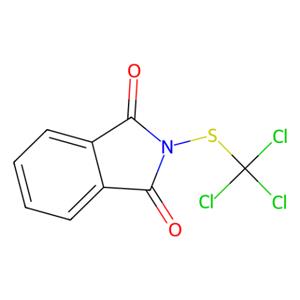 aladdin 阿拉丁 N115114 灭菌丹标准溶液 133-07-3 analytical standard,10μg/ml,u=6% in acetone