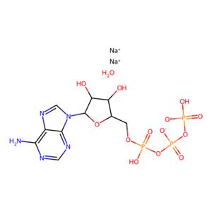 aladdin 阿拉丁 A100885 腺苷-5′-三磷酸 二钠盐 水合物 34369-07-8 99%,用于细胞培养