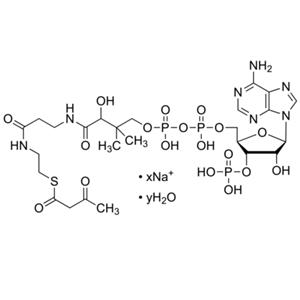 aladdin 阿拉丁 A341482 乙酰乙酰辅酶 A 钠盐 水合物 1420-36-6 ≥90%
