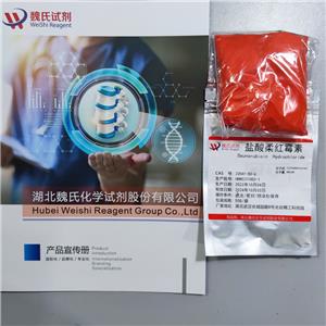 盐酸柔红霉素,Daunorubicin hydrochloride