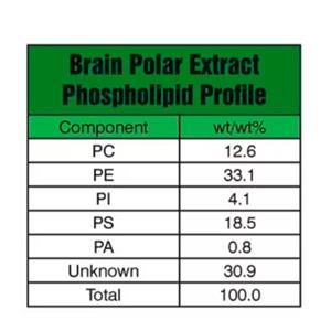 脑极性脂质提取物（猪）,Brain Polar Lipid Extract (Porcine)