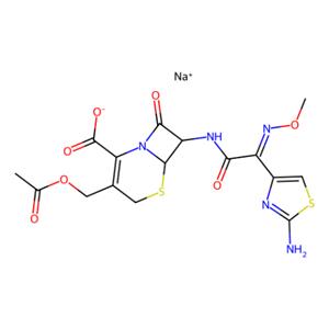 aladdin 阿拉丁 C102193 头孢噻肟钠盐 64485-93-4 ≥99.5%（HPLC)