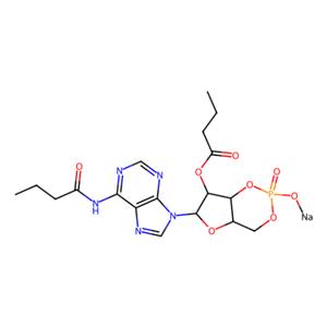aladdin 阿拉丁 D408728 N6,2′-O-二丁酰基腺苷3′,5′-环磷酸 钠盐 16980-89-5 10mM in DMSO