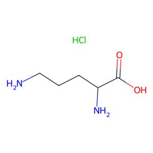 aladdin 阿拉丁 L423300 L-鸟氨酸盐酸盐 3184-13-2 10mM in Water