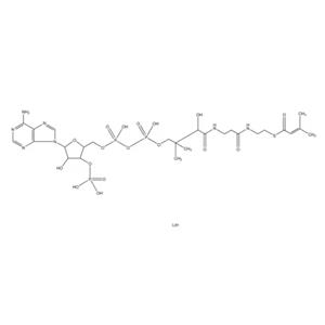 β-甲基巴豆酰基辅酶A锂盐,β-Methylcrotonyl coenzyme A lithium salt