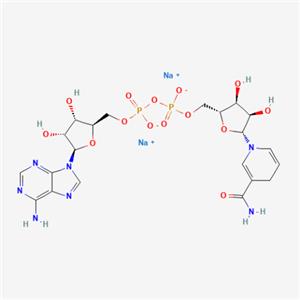aladdin 阿拉丁 N196977 还原型辅酶I 二钠(β-NADH) 606-68-8 ≥95%