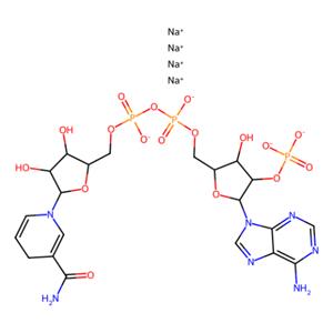 aladdin 阿拉丁 N276326 NADPH,辅酶 2646-71-1 ≥93%